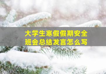 大学生寒假假期安全班会总结发言怎么写