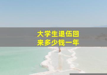 大学生退伍回来多少钱一年