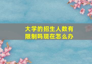 大学的招生人数有限制吗现在怎么办