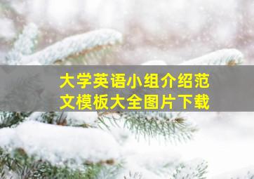 大学英语小组介绍范文模板大全图片下载