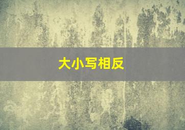 大小写相反