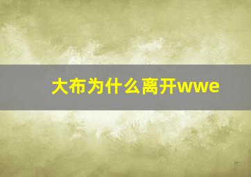 大布为什么离开wwe