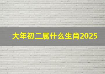 大年初二属什么生肖2025