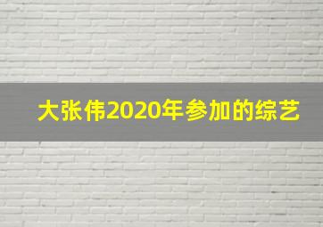 大张伟2020年参加的综艺