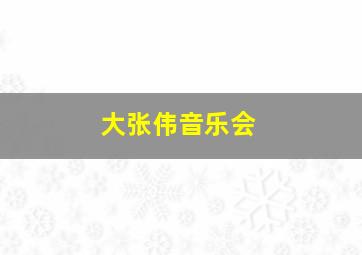 大张伟音乐会