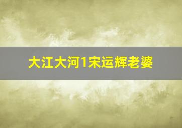 大江大河1宋运辉老婆