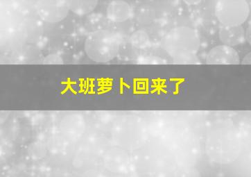 大班萝卜回来了