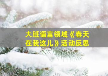 大班语言领域《春天在我这儿》活动反思