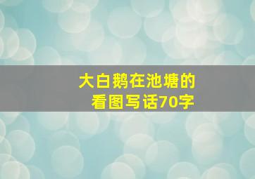 大白鹅在池塘的看图写话70字