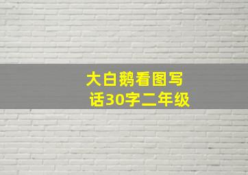 大白鹅看图写话30字二年级