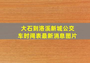 大石到洛溪新城公交车时间表最新消息图片