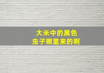 大米中的黑色虫子哪里来的啊