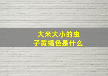 大米大小的虫子黄褐色是什么