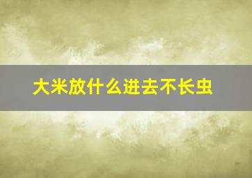 大米放什么进去不长虫