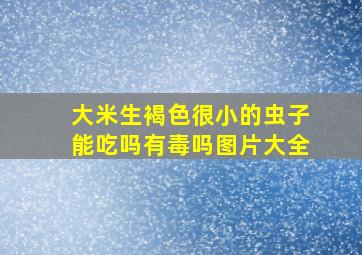 大米生褐色很小的虫子能吃吗有毒吗图片大全