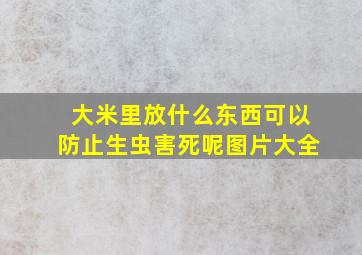 大米里放什么东西可以防止生虫害死呢图片大全