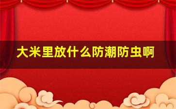 大米里放什么防潮防虫啊