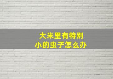 大米里有特别小的虫子怎么办