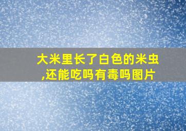 大米里长了白色的米虫,还能吃吗有毒吗图片