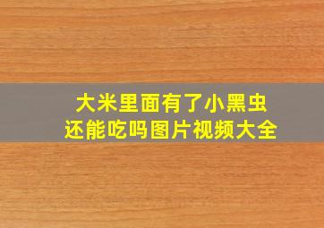 大米里面有了小黑虫还能吃吗图片视频大全