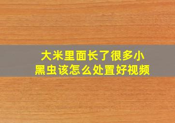 大米里面长了很多小黑虫该怎么处置好视频