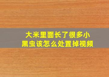 大米里面长了很多小黑虫该怎么处置掉视频