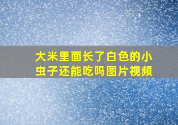 大米里面长了白色的小虫子还能吃吗图片视频