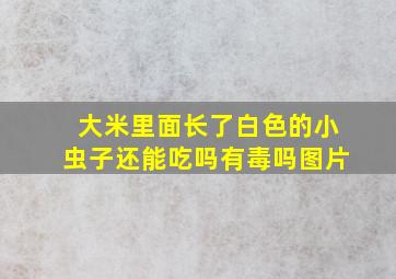 大米里面长了白色的小虫子还能吃吗有毒吗图片