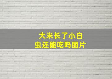 大米长了小白虫还能吃吗图片