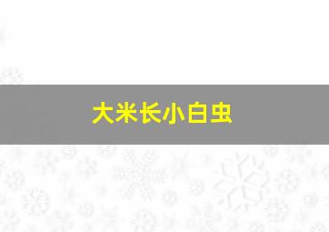 大米长小白虫