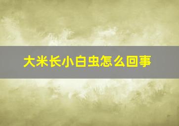 大米长小白虫怎么回事