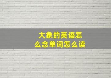 大象的英语怎么念单词怎么读