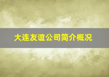 大连友谊公司简介概况