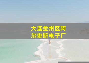 大连金州区阿尔卑斯电子厂