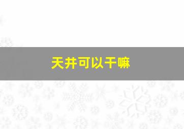 天井可以干嘛