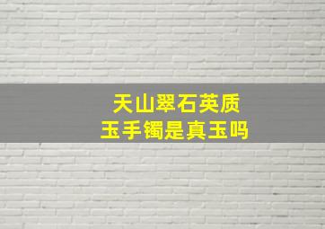 天山翠石英质玉手镯是真玉吗