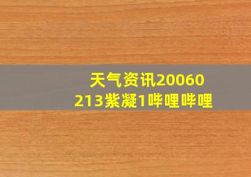 天气资讯20060213紫凝1哔哩哔哩