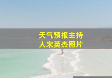 天气预报主持人宋英杰图片