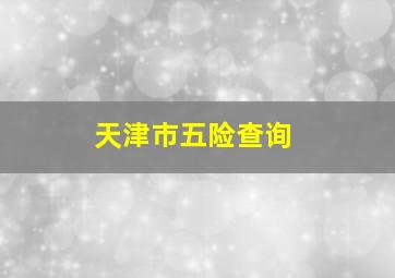 天津市五险查询