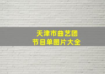 天津市曲艺团节目单图片大全