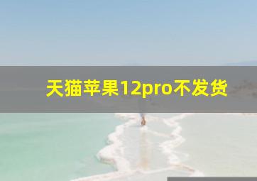 天猫苹果12pro不发货