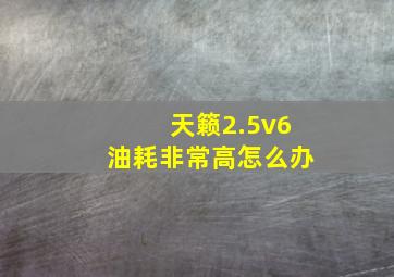 天籁2.5v6油耗非常高怎么办