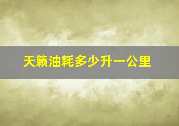 天籁油耗多少升一公里