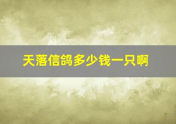 天落信鸽多少钱一只啊