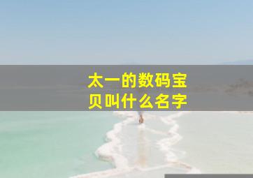 太一的数码宝贝叫什么名字