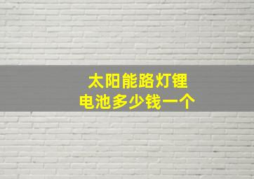 太阳能路灯锂电池多少钱一个