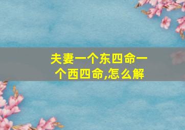 夫妻一个东四命一个西四命,怎么解