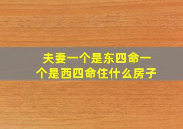 夫妻一个是东四命一个是西四命住什么房子