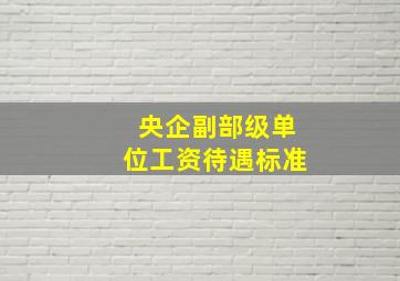 央企副部级单位工资待遇标准