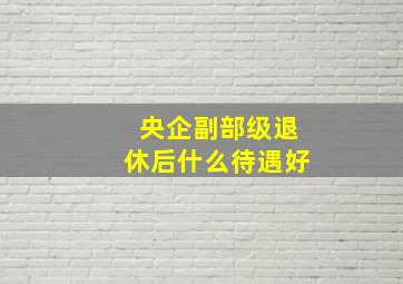 央企副部级退休后什么待遇好